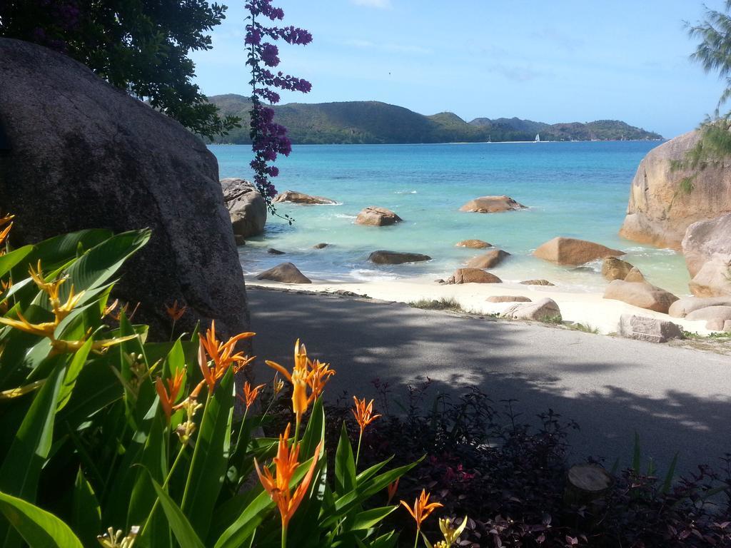Apartamento Jardin Marron Baie Sainte Anne Exterior foto