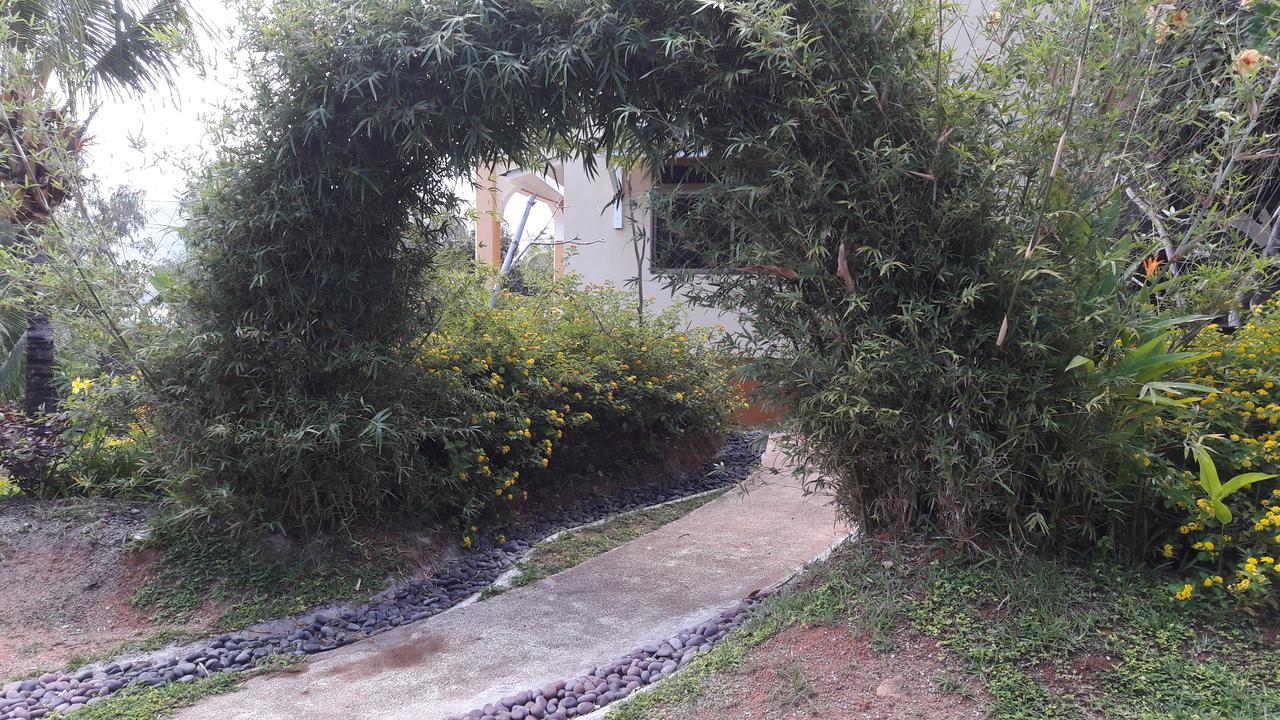 Apartamento Jardin Marron Baie Sainte Anne Exterior foto